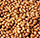 Indian Dal, Pulses Exporters India