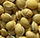 Indian Dal, Pulses Exporters India